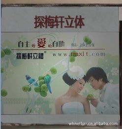 鄭州市金水區(qū)探梅軒技術(shù)咨詢服務(wù)部 藝術(shù)品鑒賞與工藝畫收藏指南